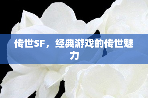 经典游戏的传世魅力图片