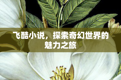 探索奇幻世界的魅力之旅图片