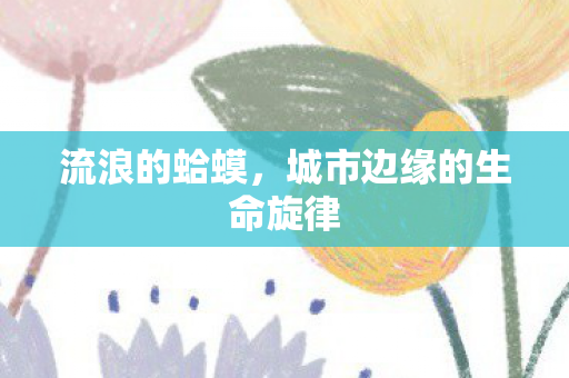 城市边缘的生命旋律图片