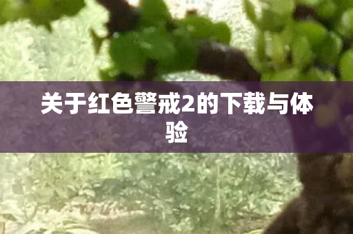 关于红色警戒2的下载与体验图片