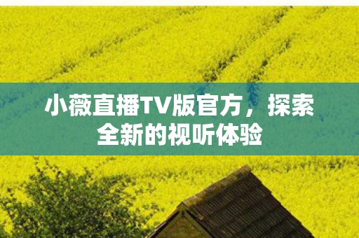 小薇直播TV版官方图片