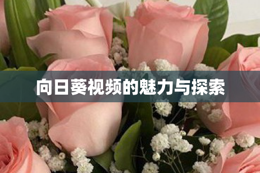 向日葵视频的魅力与探索图片