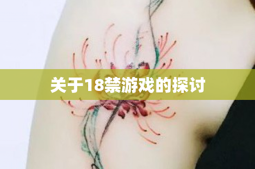 关于18禁游戏的探讨图片
