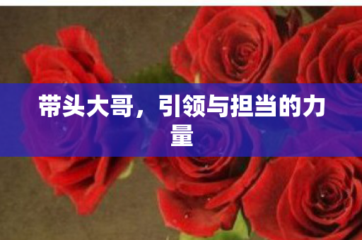 引领与担当的力量图片