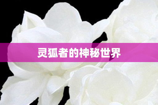 灵狐者的神秘世界图片