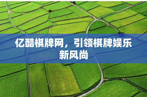 引领棋牌娱乐新风尚图片