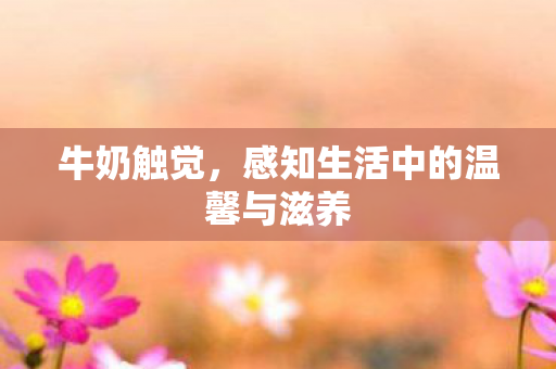 感知生活中的温馨与滋养图片
