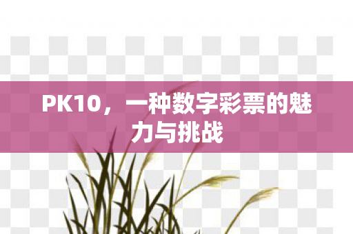 一种数字彩票的魅力与挑战图片
