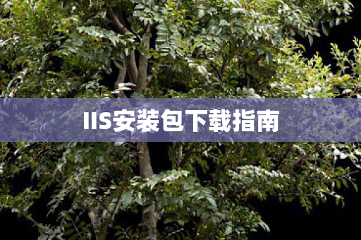 IIS安装包下载指南图片