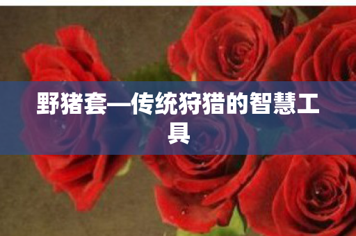 传统狩猎的智慧工具图片