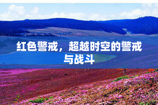 超越时空的警戒与战斗图片