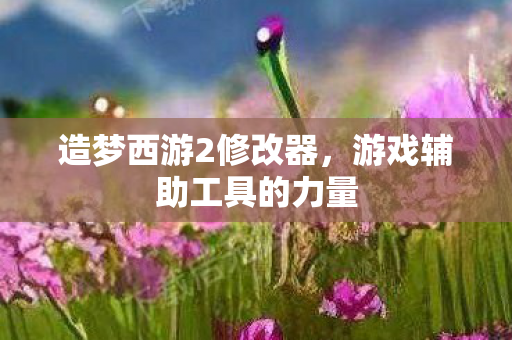 游戏辅助工具的力量图片