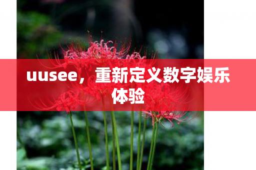 重新定义数字娱乐体验图片