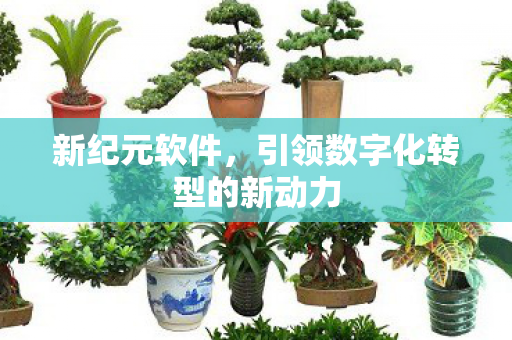 引领数字化转型的新动力图片