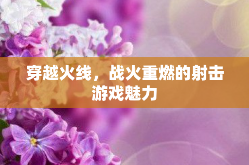 战火重燃的射击游戏魅力图片