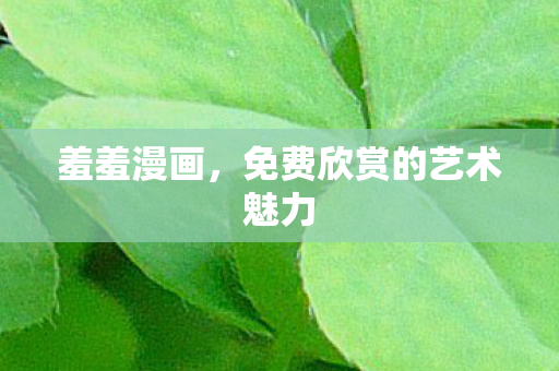 免费欣赏的艺术魅力图片