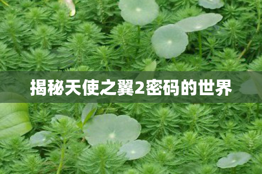 揭秘天使之翼2密码的世界图片