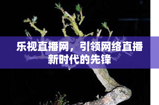 引领网络直播新时代的先锋图片