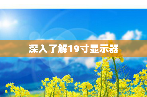 深入了解19寸显示器图片