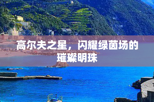 闪耀绿茵场的璀璨明珠图片