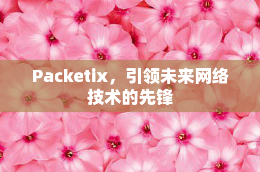 引领未来网络技术的先锋图片
