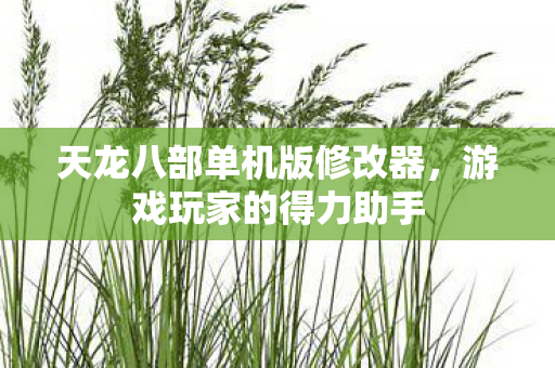 天龙八部单机版修改器图片