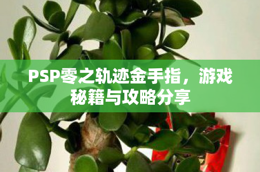 PSP零之轨迹金手指图片