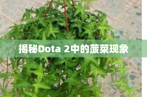 揭秘Dota 2中的菠菜现象图片