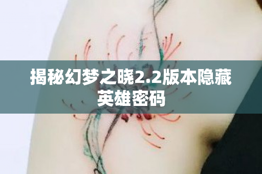 2版本隐藏英雄密码图片