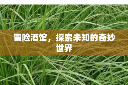 探索未知的奇妙世界图片