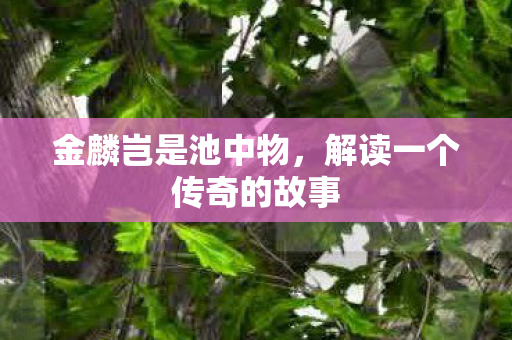 解读一个传奇的故事图片