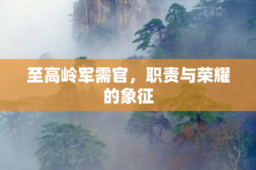 职责与荣耀的象征图片