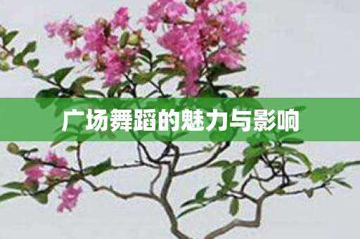 广场舞蹈的魅力与影响图片