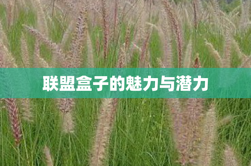 联盟盒子的魅力与潜力图片