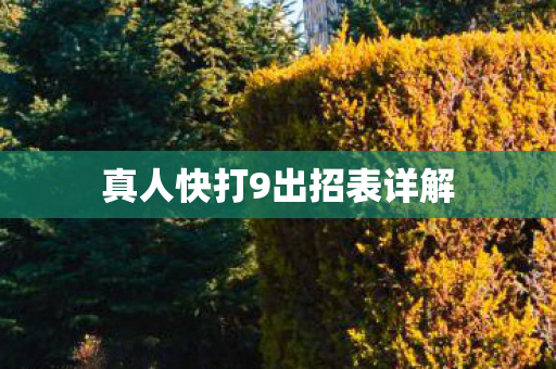 真人快打9出招表详解图片