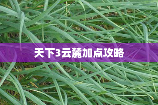 天下3云麓加点攻略图片