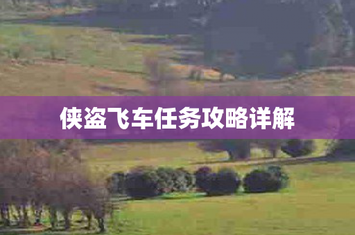 侠盗飞车任务攻略详解图片
