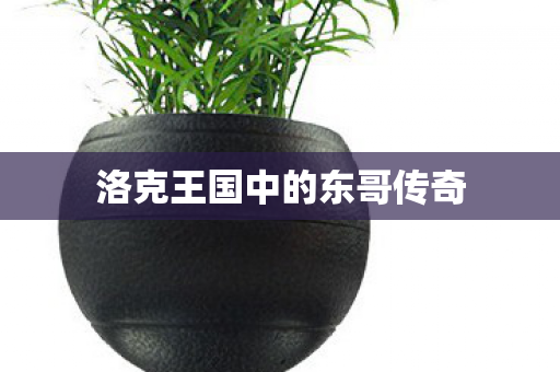 洛克王国中的东哥传奇图片