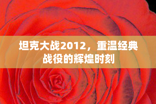 重温经典战役的辉煌时刻图片