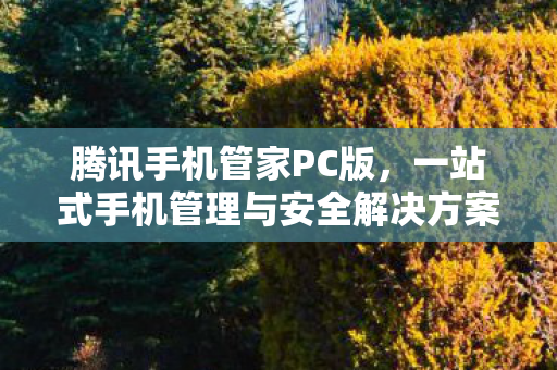 一站式手机管理与安全解决方案图片