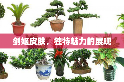 独特魅力的展现图片