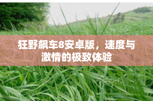 速度与激情的极致体验图片