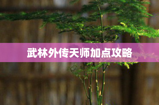 武林外传天师加点攻略图片
