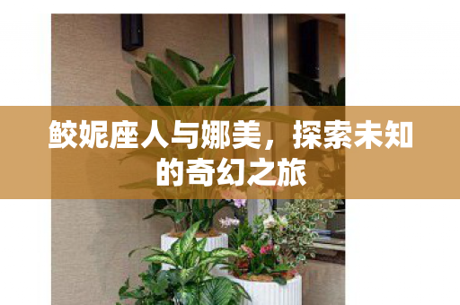 探索未知的奇幻之旅图片
