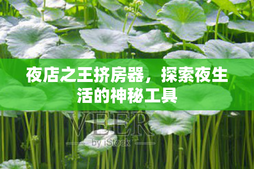 探索夜生活的神秘工具图片
