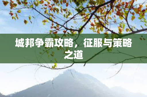 征服与策略之道图片