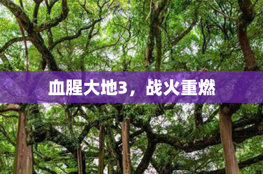 血腥大地3图片