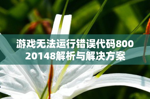 游戏无法运行错误代码80020148解析与解决方案图片