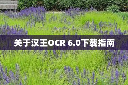 关于汉王OCR 6图片