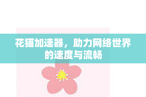 助力网络世界的速度与流畅图片